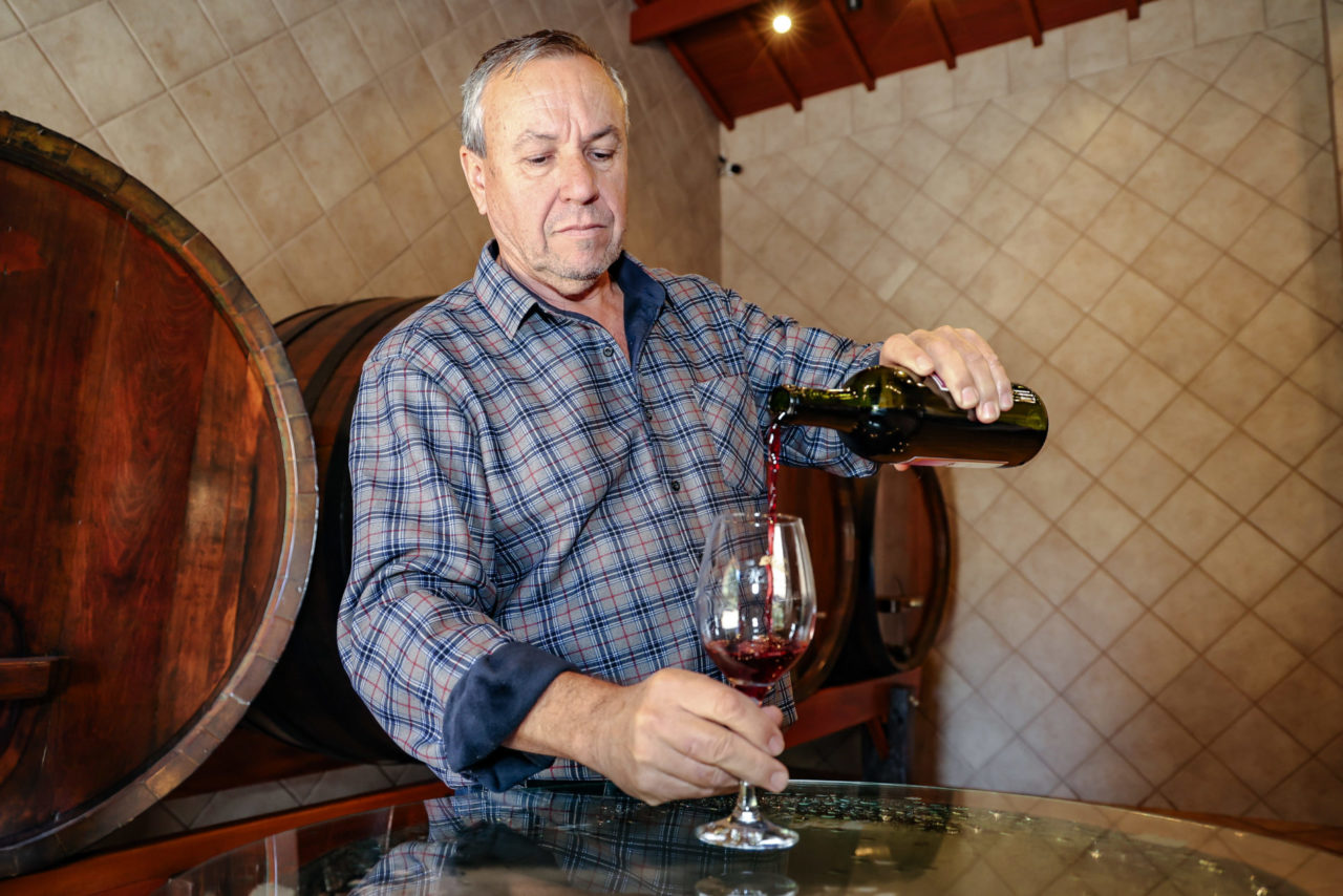 Jundiaí brinda o Dia do Vinho com fortalecimento das Rotas Turísticas e aprimoramento da produção local
