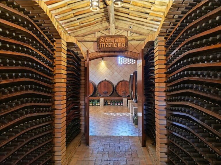 WhatsApp Image 2025-12-20 at 18.15.10 (1)