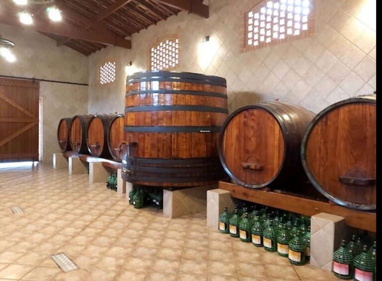 WhatsApp Image 2025-12-20 at 18.15.10