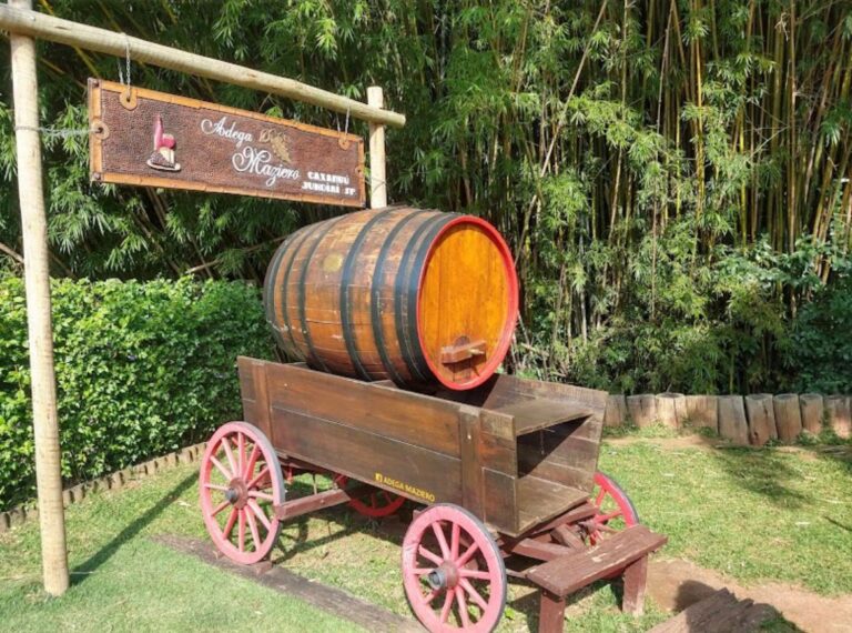 WhatsApp Image 2025-12-20 at 18.15.11 (1)