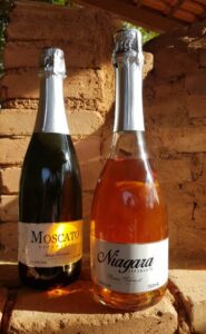 WhatsApp Image 2026-01-05 at 17.32.08