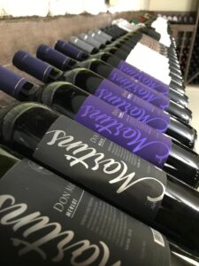 WhatsApp Image 2026-01-05 at 17.32.14