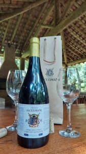 WhatsApp Image 2026-01-08 at 14.47.41