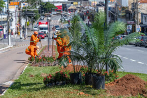 Com novas flores e palmeiras, Avenida Dr. Olavo Guimarães, na Vila Arens começa a ganhar visual mais colorido