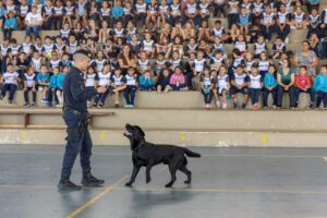 Alunos da EMEB Hermenegildo Martinelli participam de ação do Abril Laranja sobre bem-estar e proteção animal