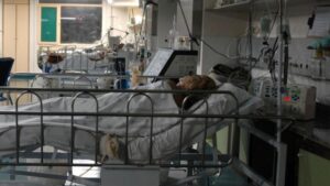 Internações por gripe crescem 92,9% e mortes pela doença avançam 10% em 2026