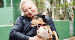 Guia rápido: como acionar serviços de proteção animal em Jundiaí