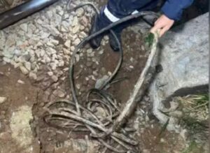Furto de cabos causa caos na Linha 7-Rubi e prejudica passageiros