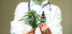 Anvisa simplifica prescrição médica de Cannabis e autoriza exportação