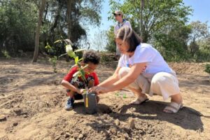 Jundiaí amplia arborização e fortalece ações por uma cidade mais verde