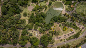 Parques municipais: estudos buscam ampliar investimentos e melhorar a experiência da população de Jundiaí