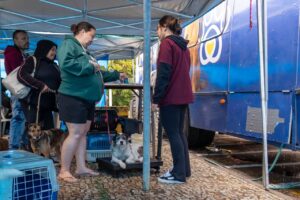 Castra+ encerra atendimentos em Jundiaí com mais de mil animais castrados e microchipados