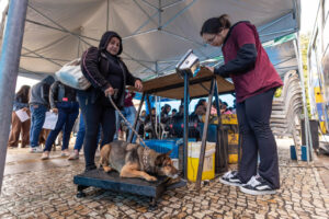 Primeiro dia do Castra+ registra grande adesão da população em Jundiaí