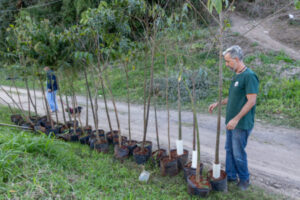 Plantio de 190 árvores nativas reforça compromisso de Jundiaí com a sustentabilidade e a mitigação das mudanças climáticas
