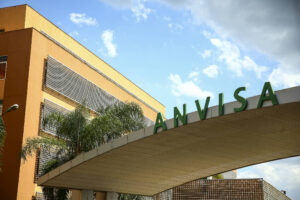 Anvisa libera avanço para venda de medicamentos em apps e marketplaces