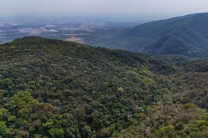 Serra do Japi: patrimônio natural de Jundiaí mobiliza debate sobre preservação permanente