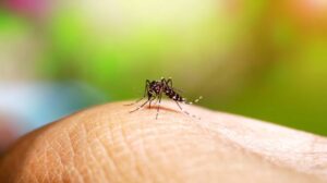 Várzea Paulista registra queda de 92,9% nos casos confirmados de dengue em 2026