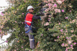 Jundiaí amplia ação para organizar fiação aérea e reforçar segurança nos postes da cidade