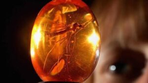 Mosquito de âmbar de “Jurassic Park” é arrematado por R$ 2,1 milhões em leilão