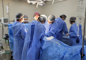 Quanto tempo dura um órgão transplantado? Entenda os fatores que influenciam sua sobrevida