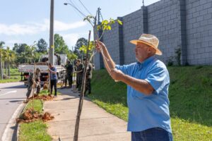 Mudas produzidas pela Unidade de Desenvolvimento Ambiental ampliam arborização de Jundiaí