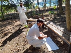 Prefeitura intensifica monitoramento de carrapatos e reforça prevenção à febre maculosa em Jundiaí